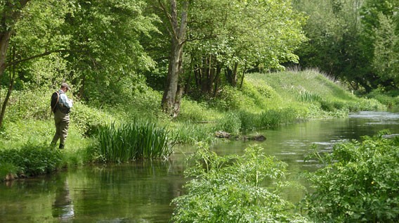 river alre or arle fly fishing