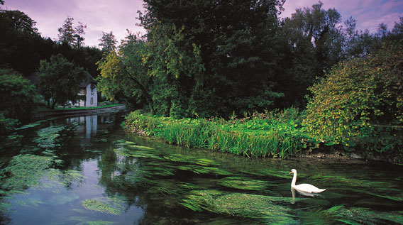 Chalk Stream Fly Fishing River Avon